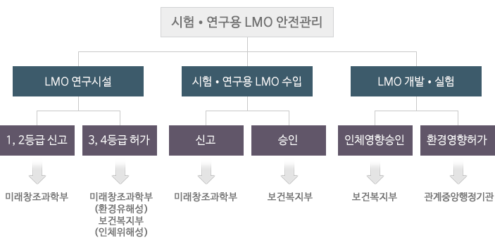 시험ㆍ연구용 LMO 안전관리